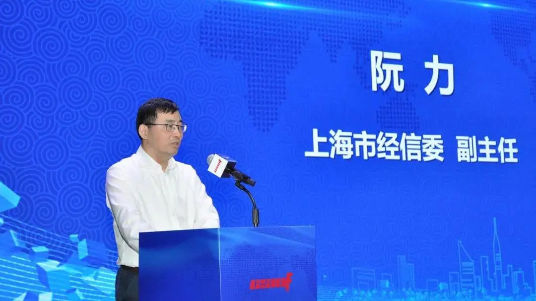 dcbox小金库,dcbox小金库数据,dcbox小金库数据怎么样